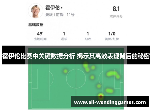 霍伊伦比赛中关键数据分析 揭示其高效表现背后的秘密